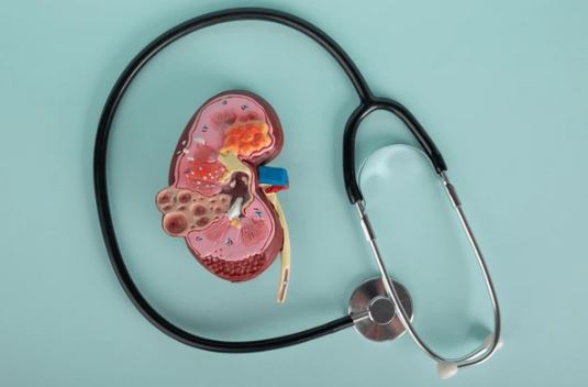 best diabetes and high blood pressure control for kidneys in mulund thane